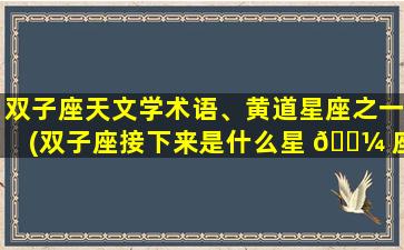 双子座天文学术语、黄道星座之一(双子座接下来是什么星 🐼 座)